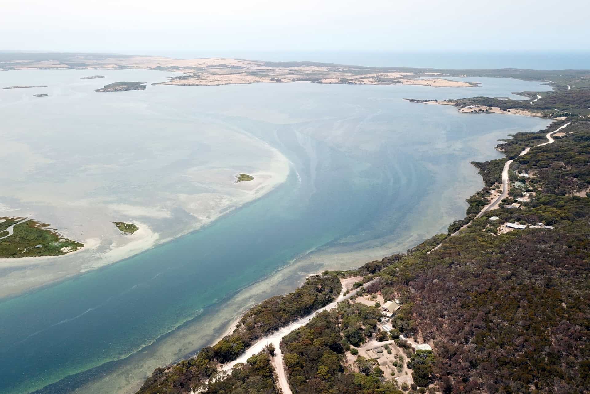 pelican lagoon