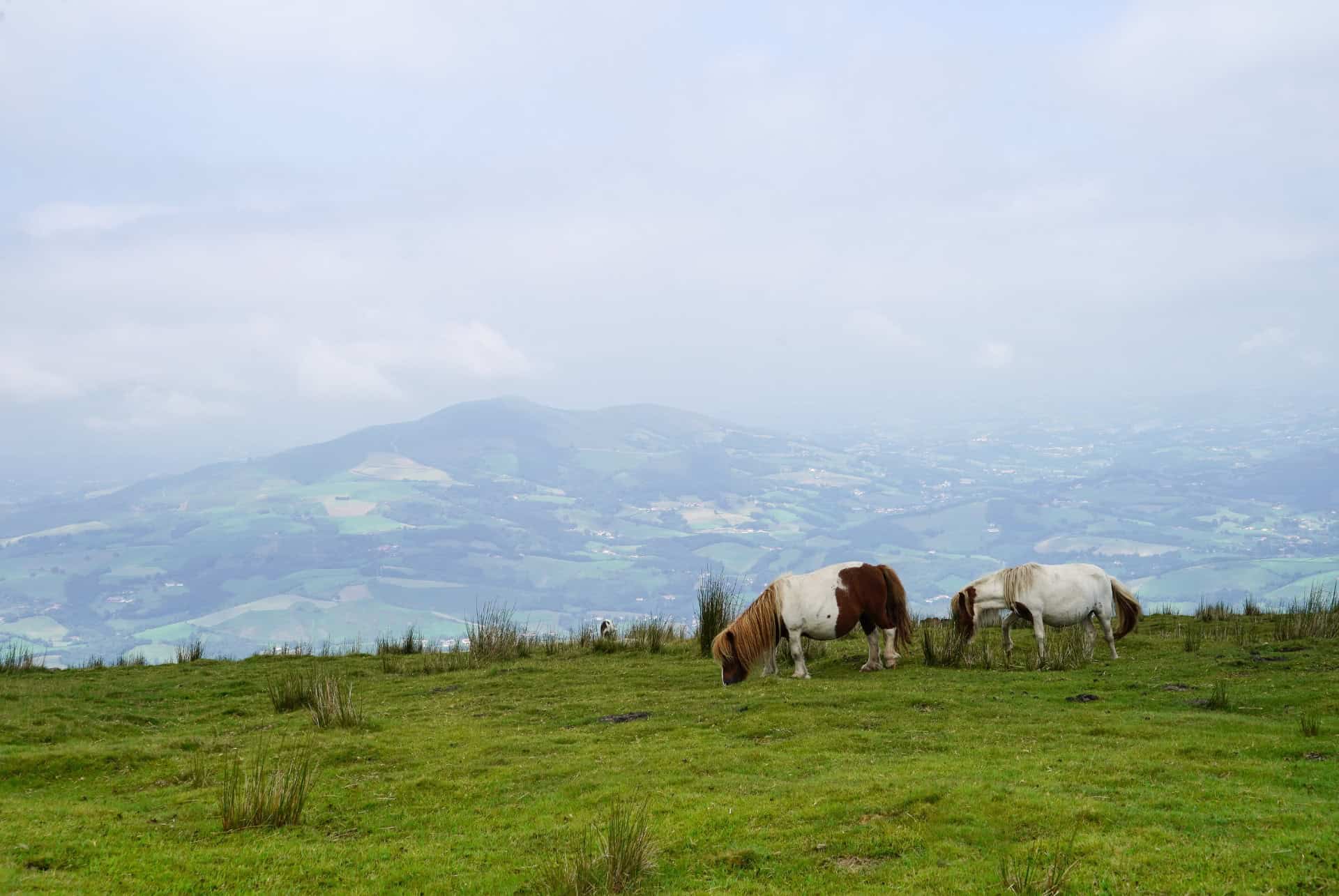 que faire pays basque la rhune