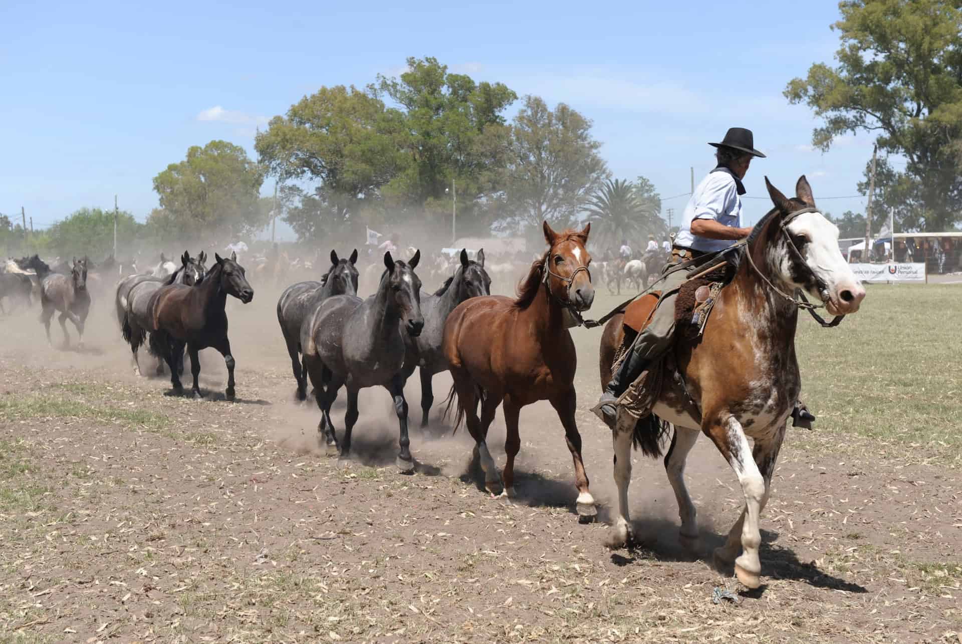 ranch gaucho journee