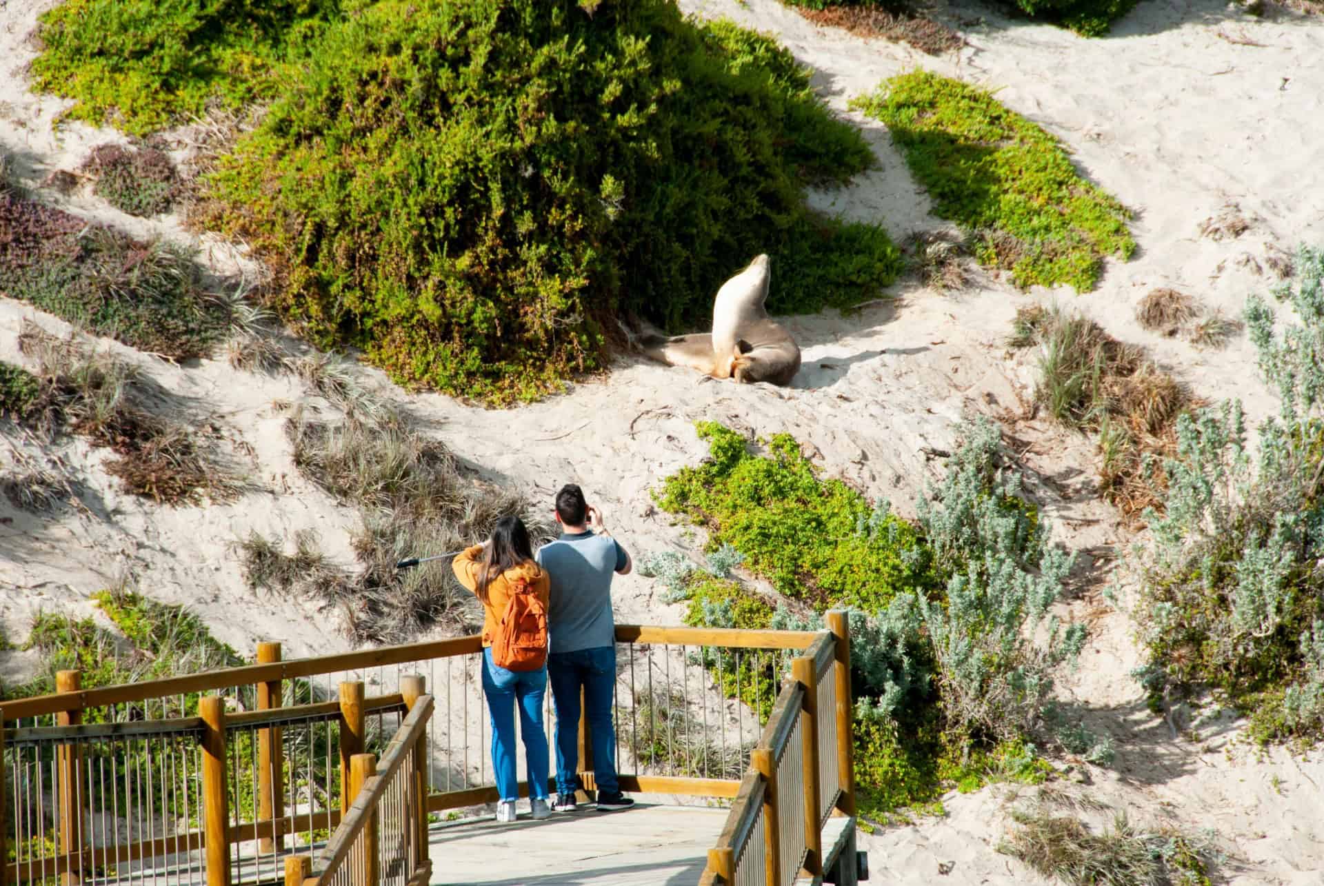 seal bay conservation park