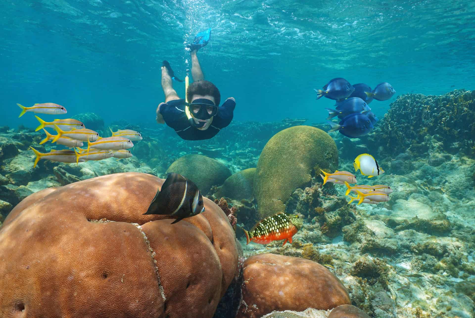 snorkeling mexique aout