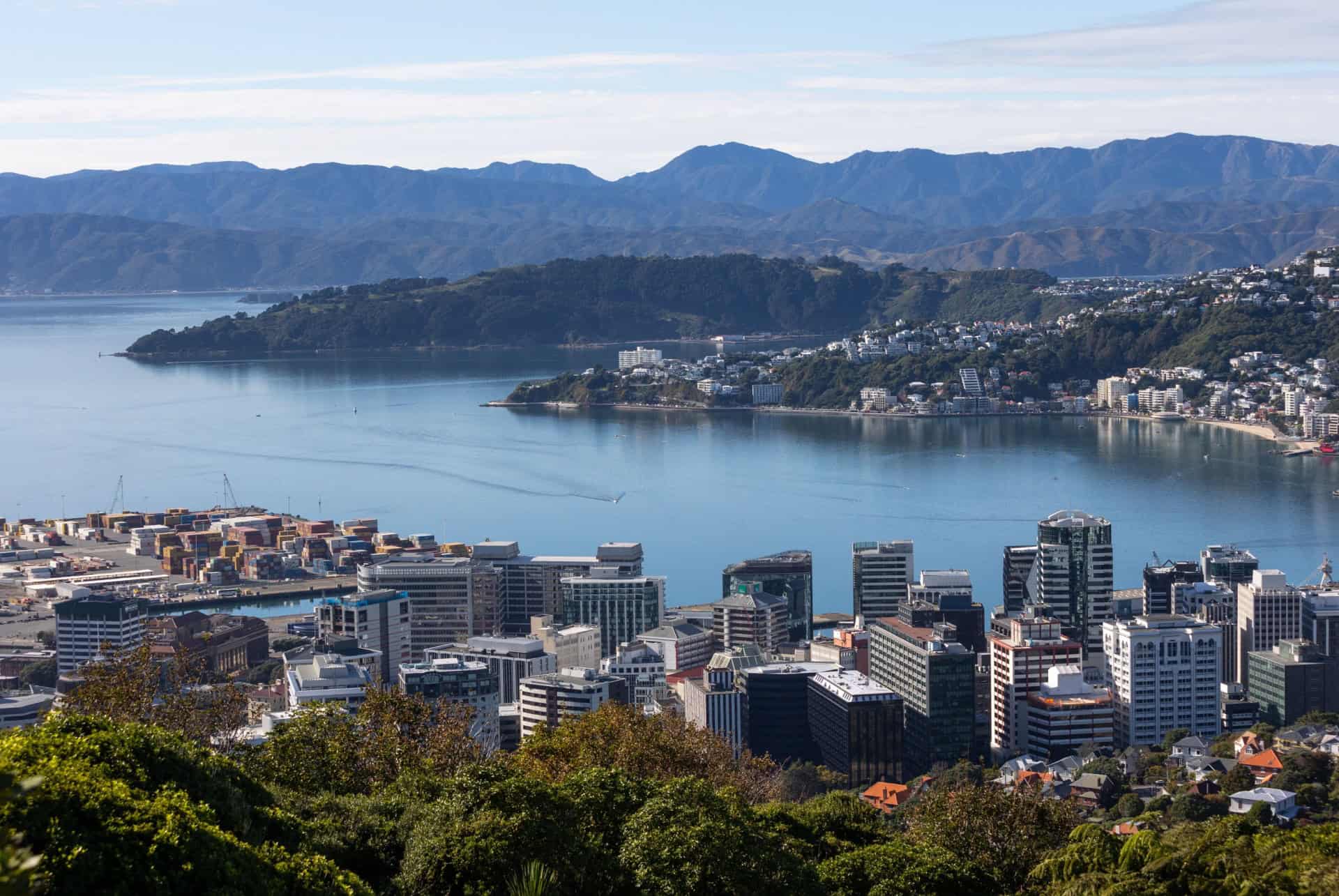 vue wellington kelburn