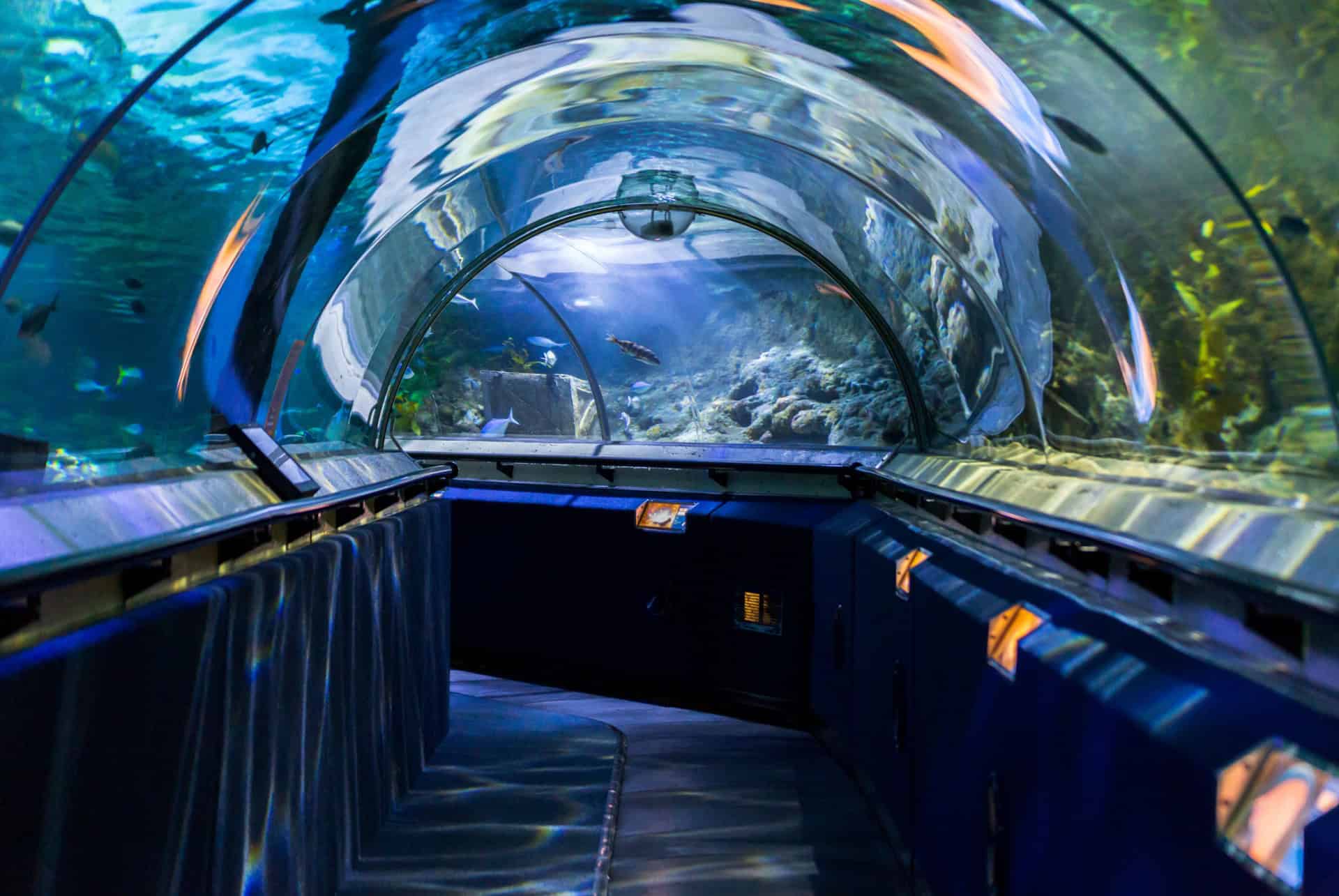 que faire a auckland aquarium