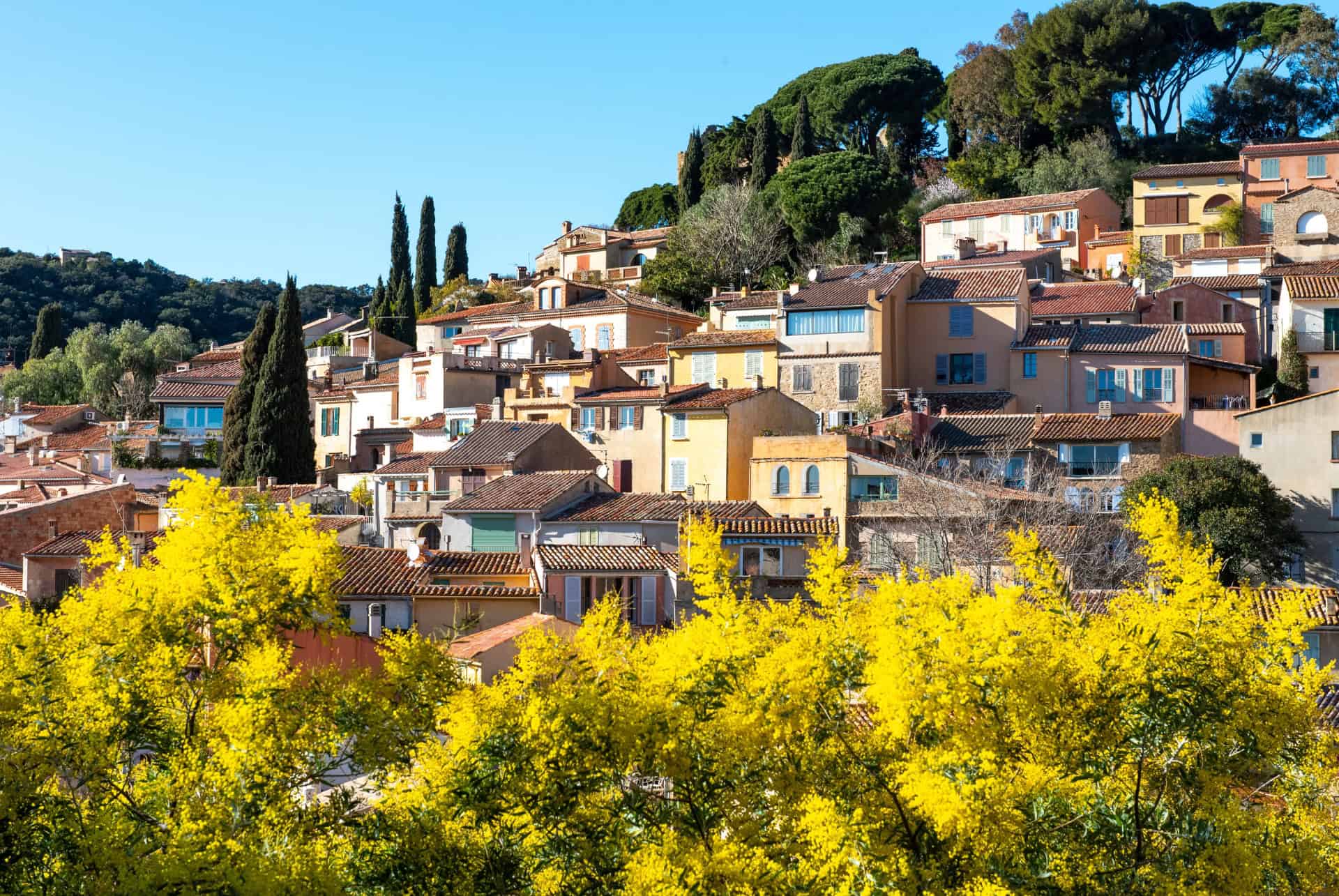 bormes les mimosas