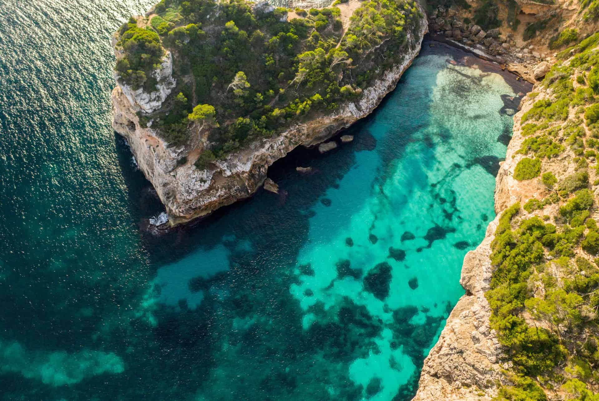 calo del moro