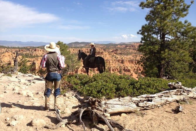 Expérience d'équitation à travers Red Canyon avec un guide