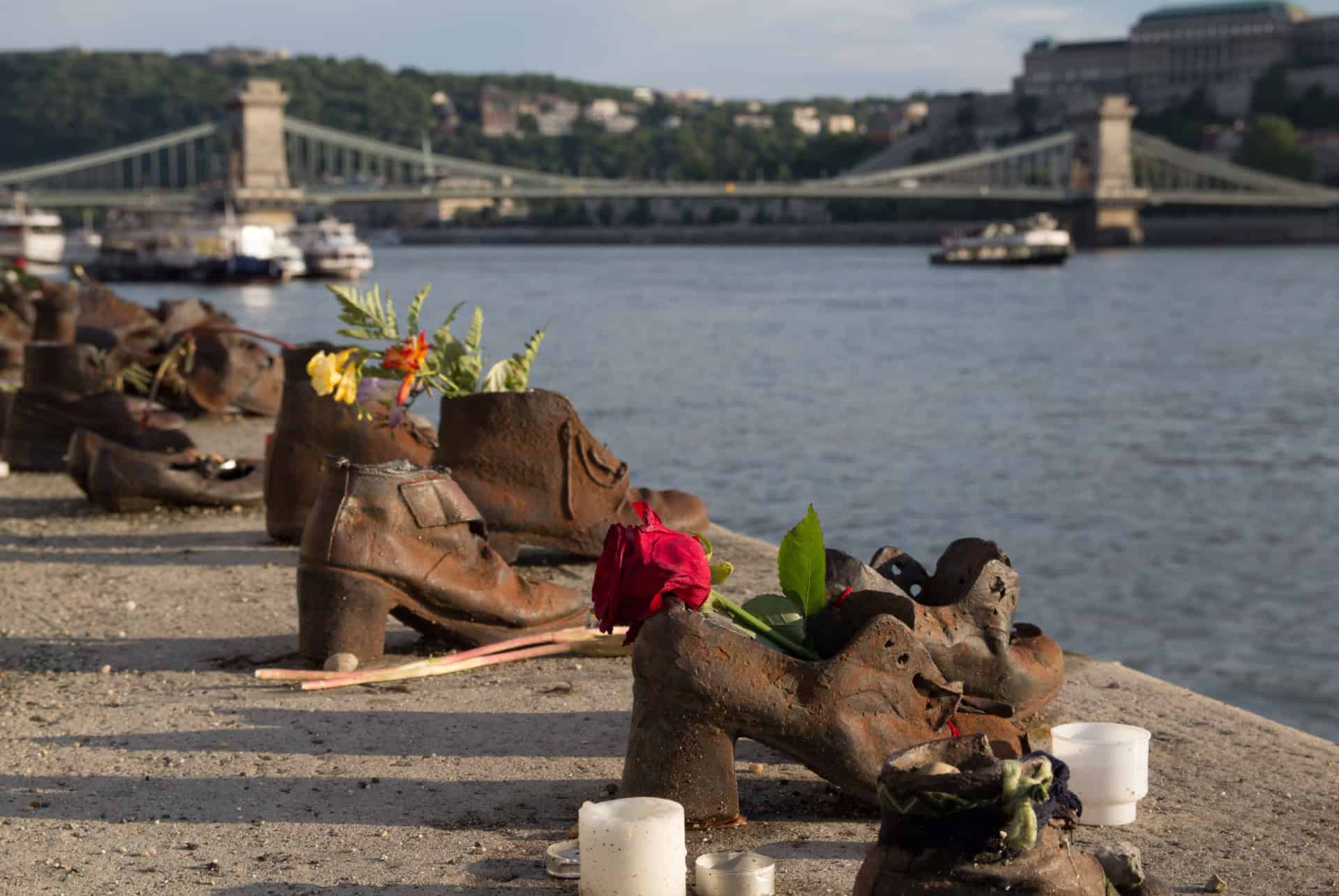 chaussures du danube