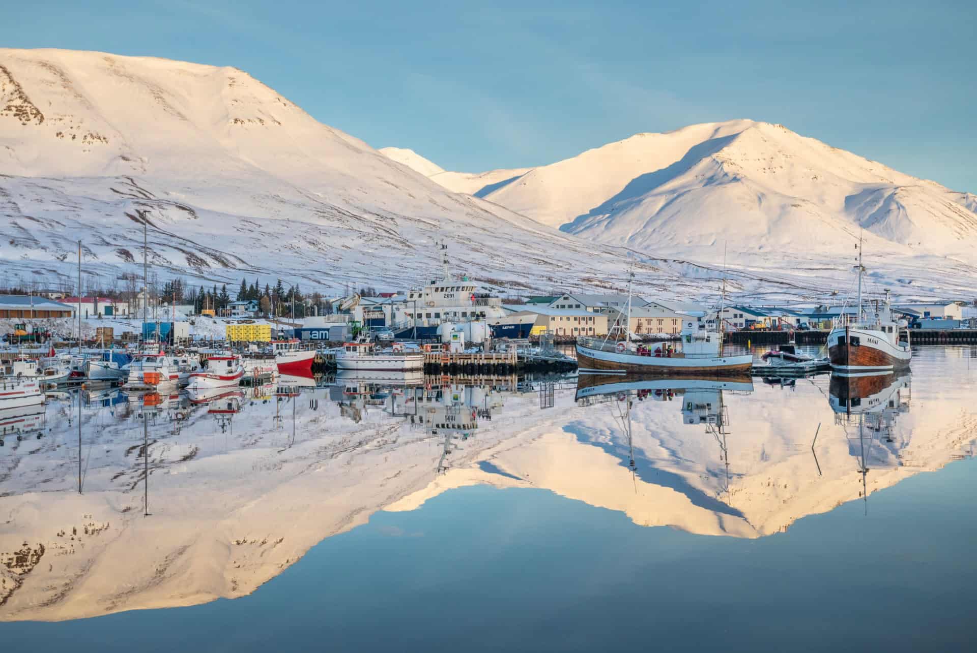 dalvik en octobre
