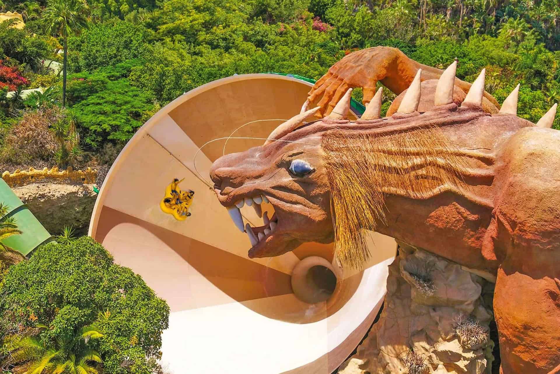 dragon