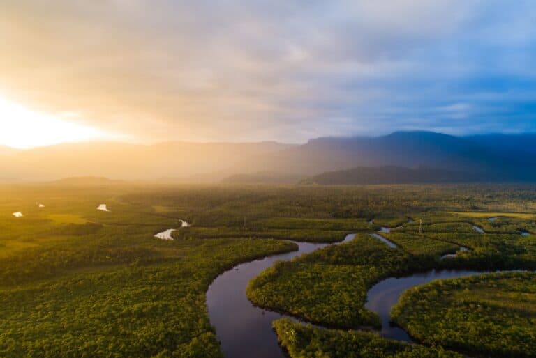 Randonnée dans la forêt amazonienne