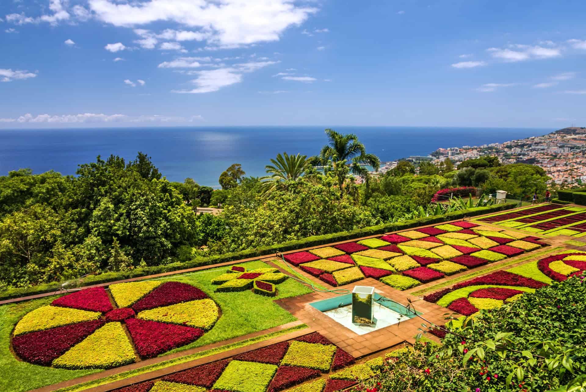 jardin botanique madere