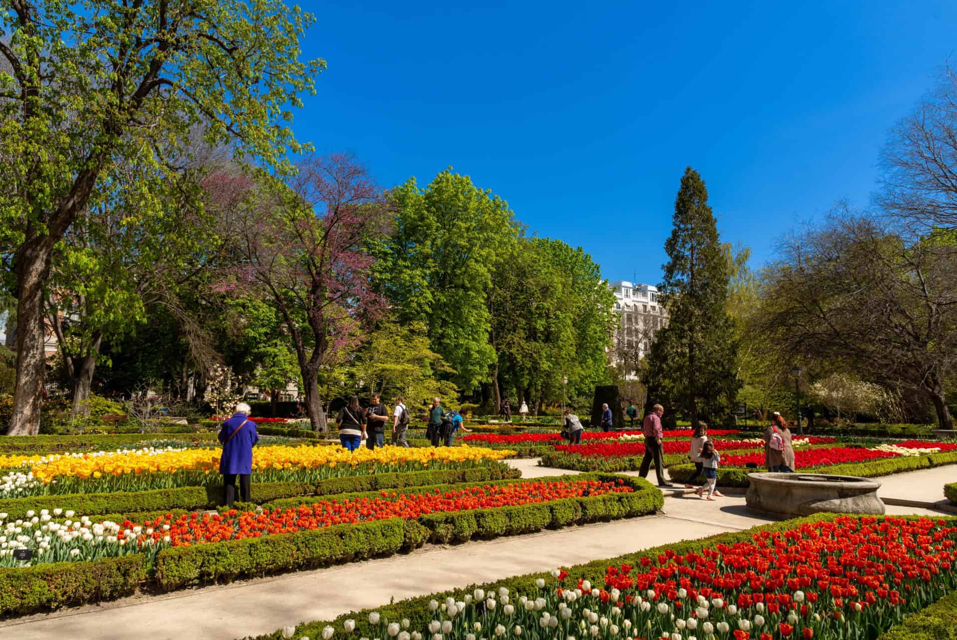 jardin botanique royal de madrid