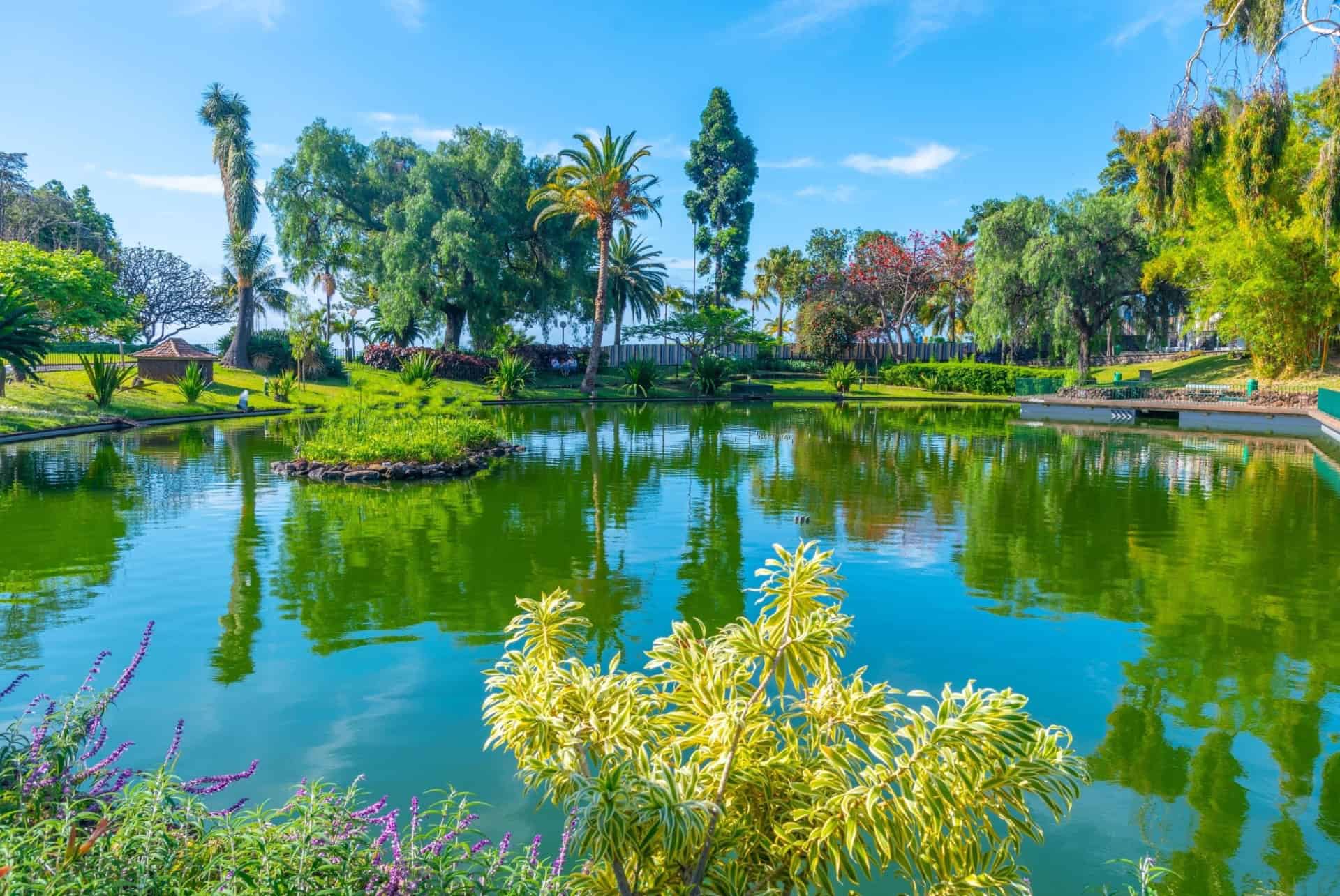 parque de santa catarina madere