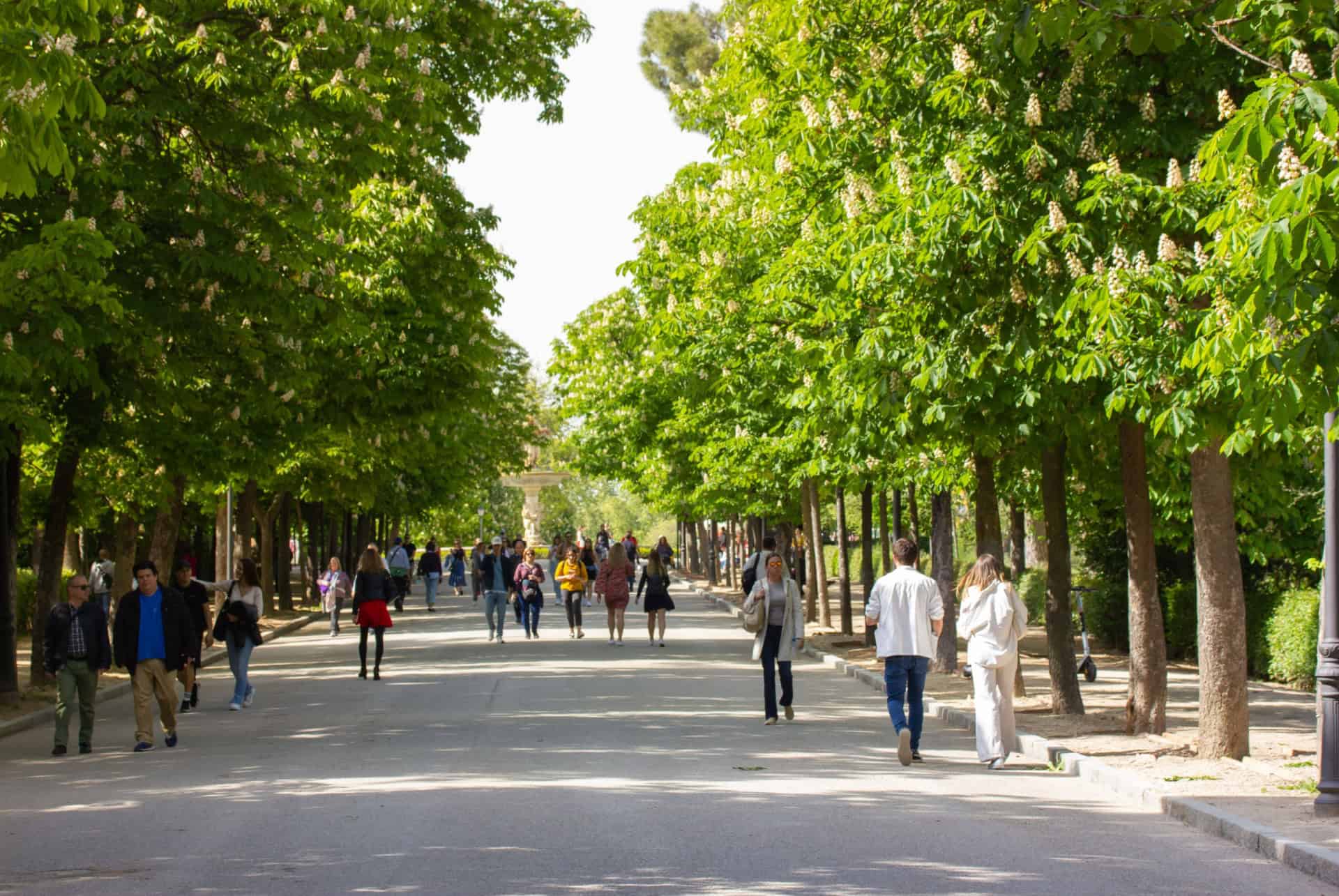 printemps a madrid