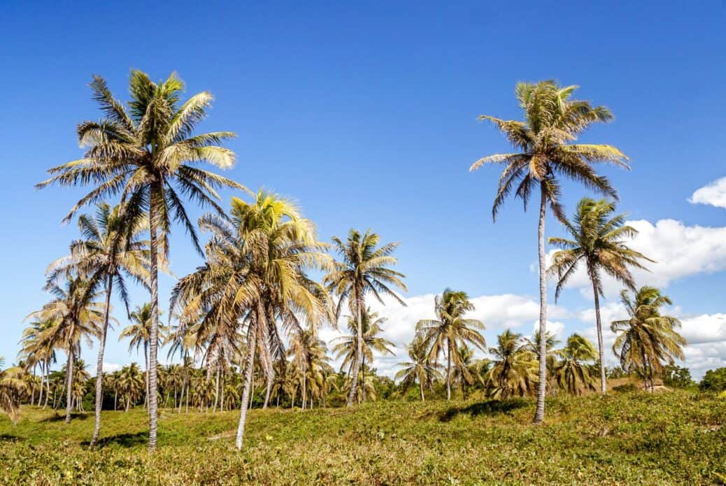 Madagascar
