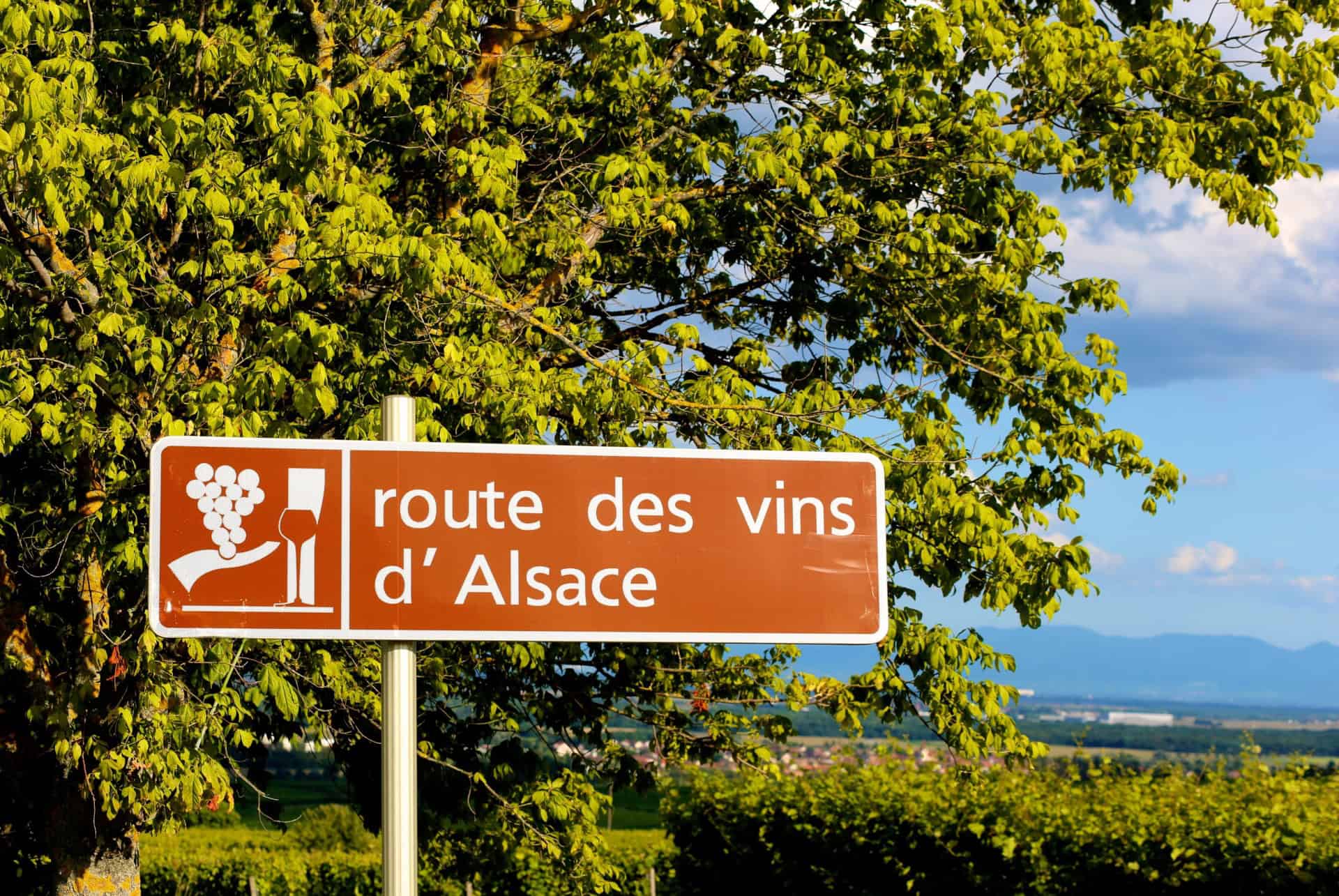 route des vins alsace panneau route des vins alsace panneau