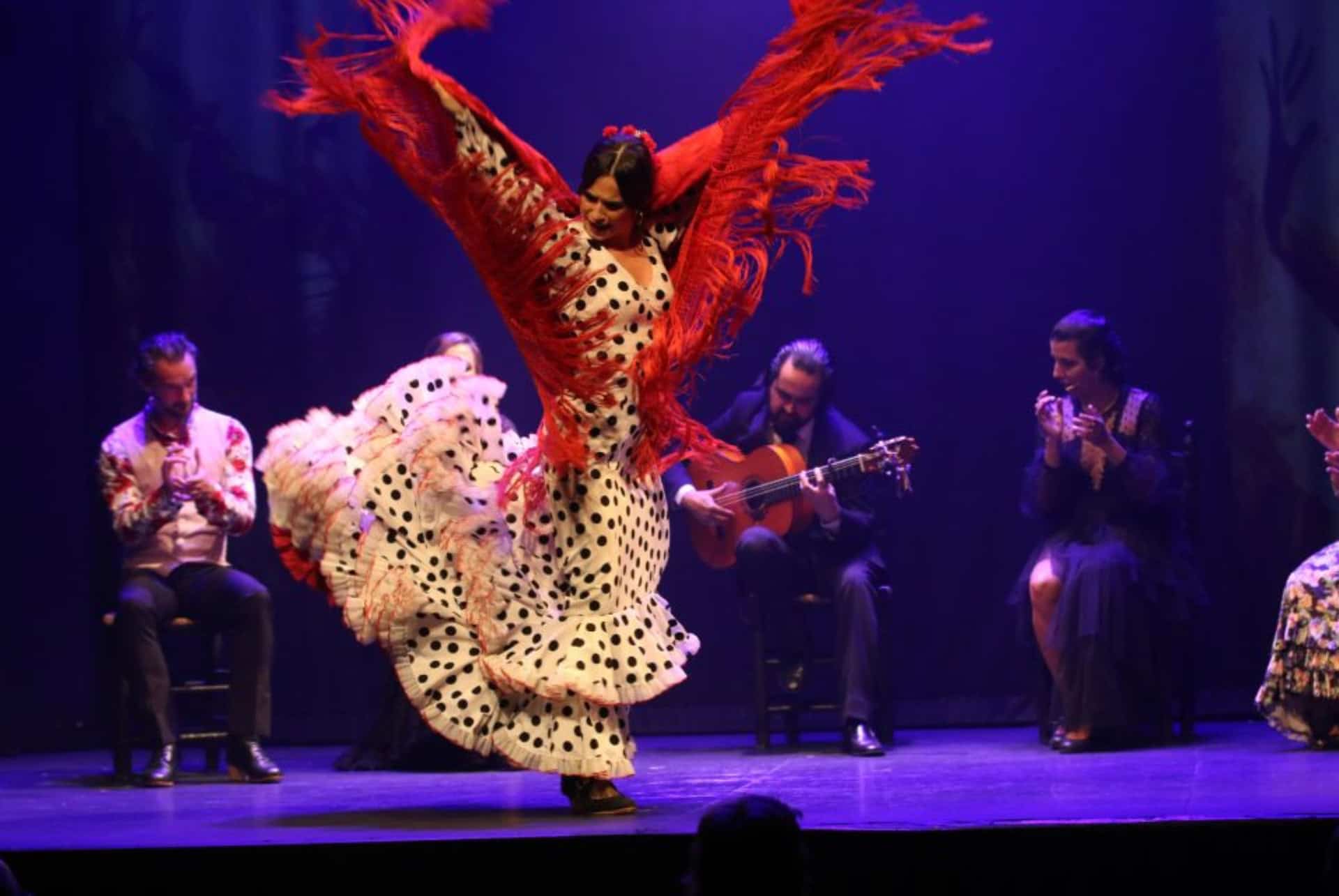 spectacle flamenco madrid