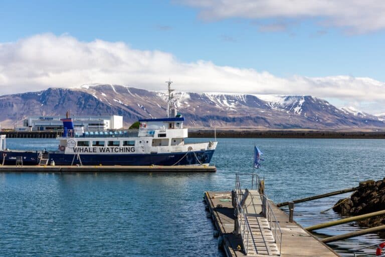 Croisière d'observation en bateau