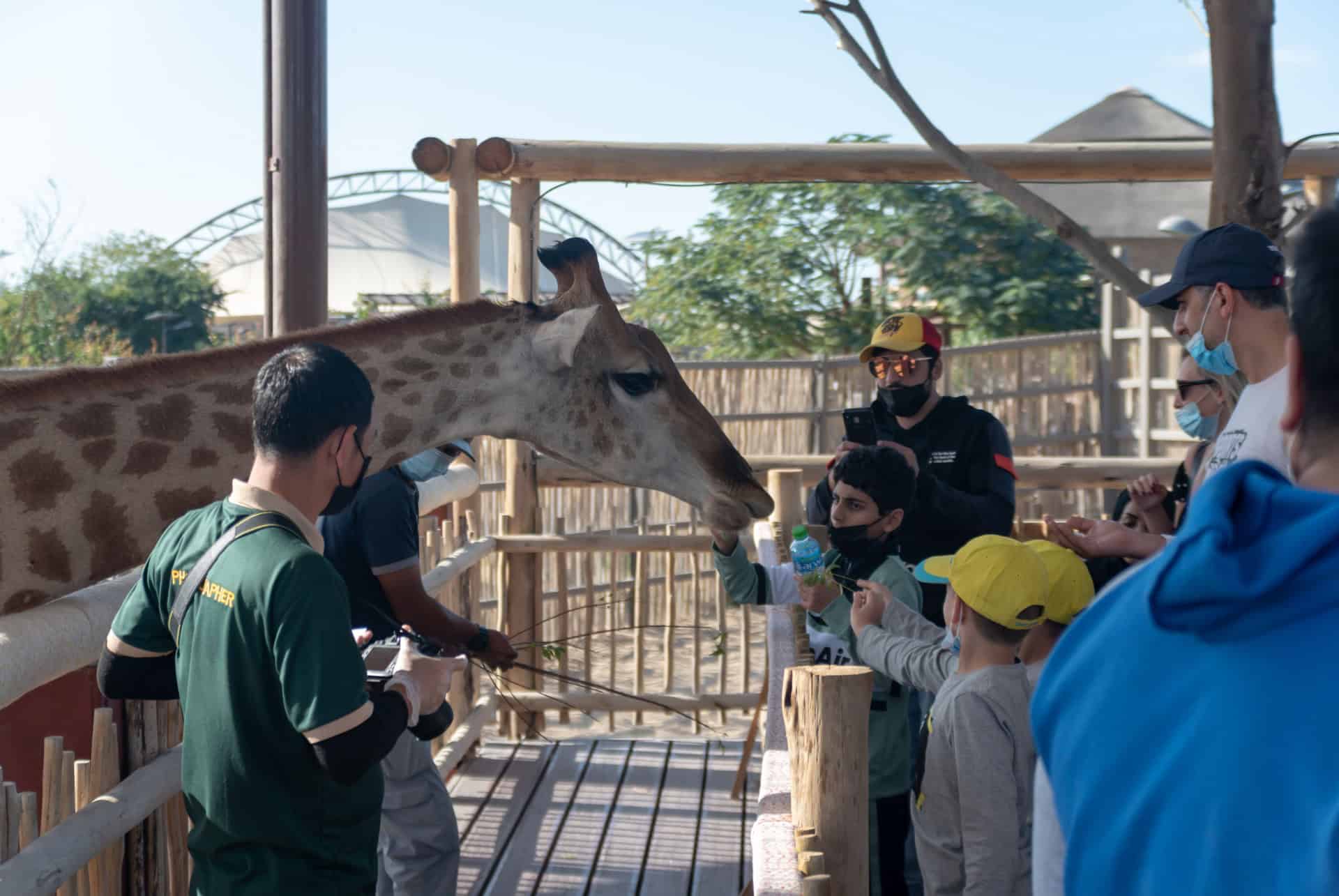dubai safari park