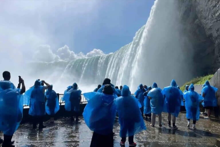 Excursion guidée aux chutes du Niagara et dégustation