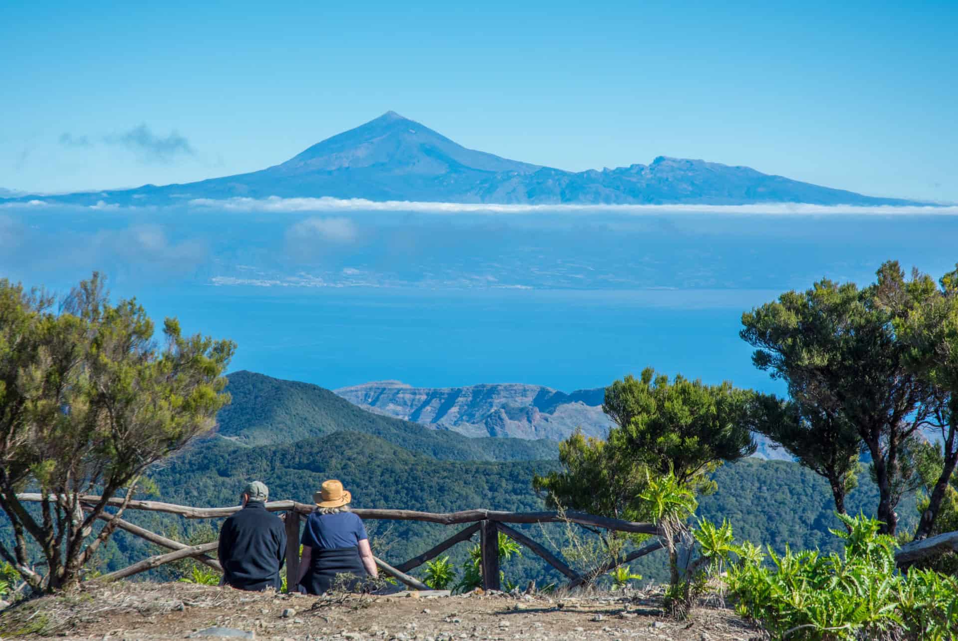 garajonay national park