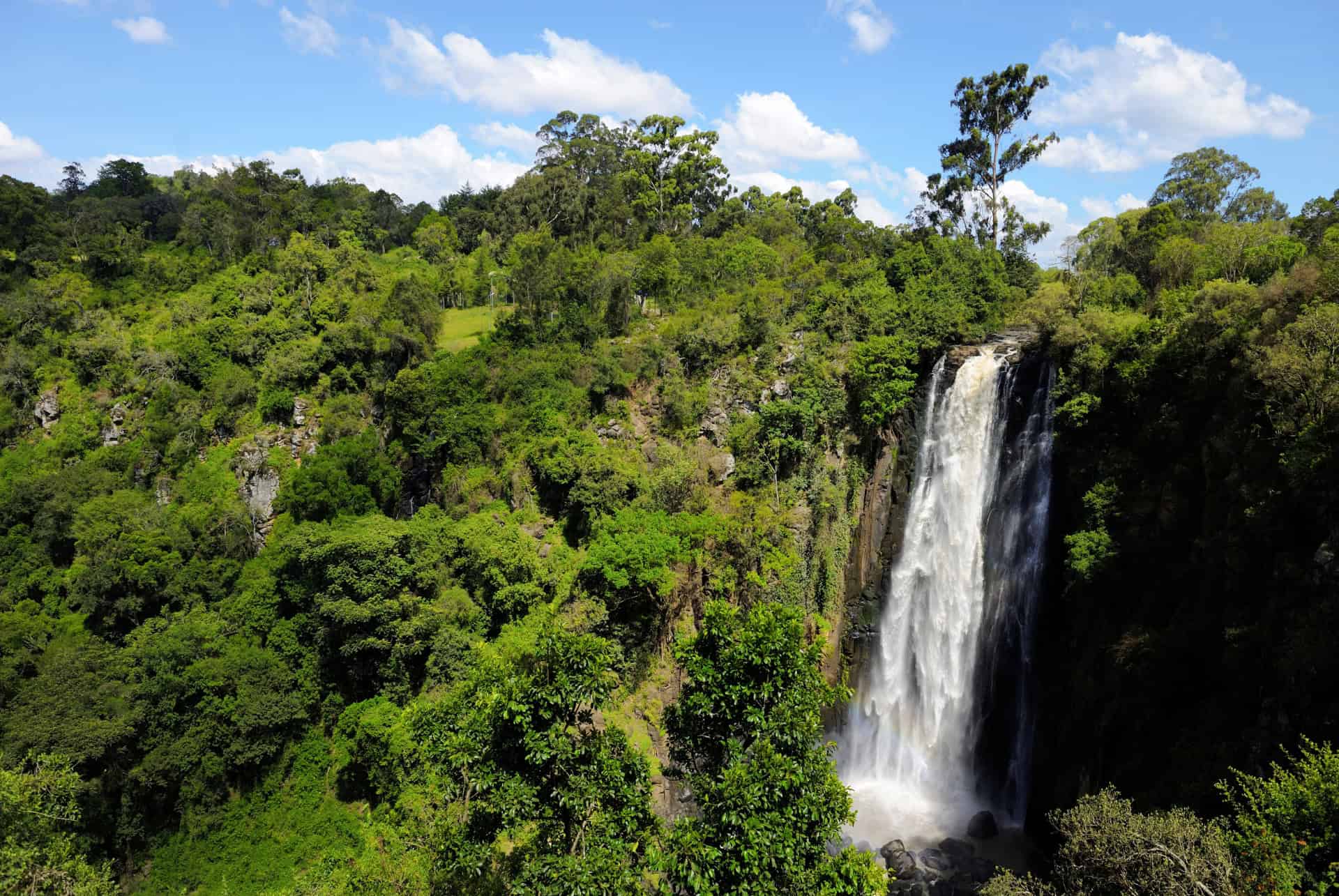 chutes de thomson au kenya