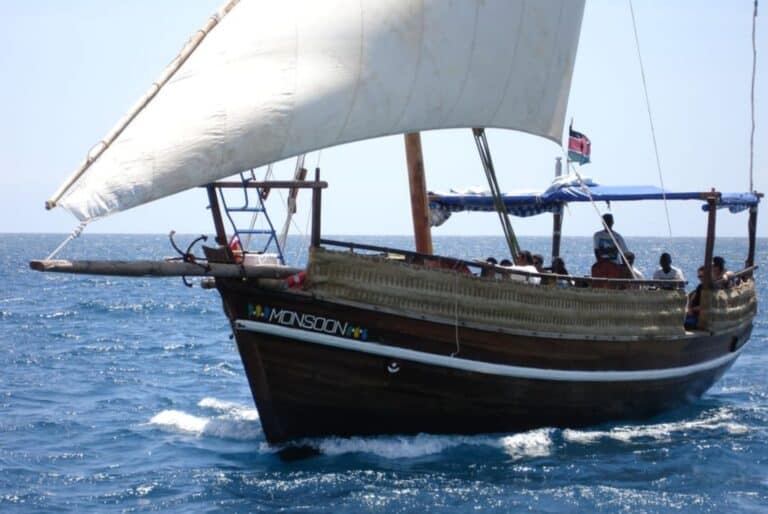 Visite de Shimoni, croisière au parc marin de Kisite Mpunguti et observation des dauphins 
