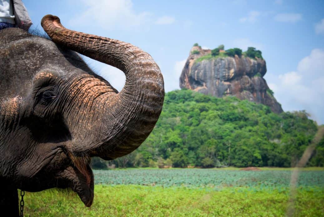 Sri lanka