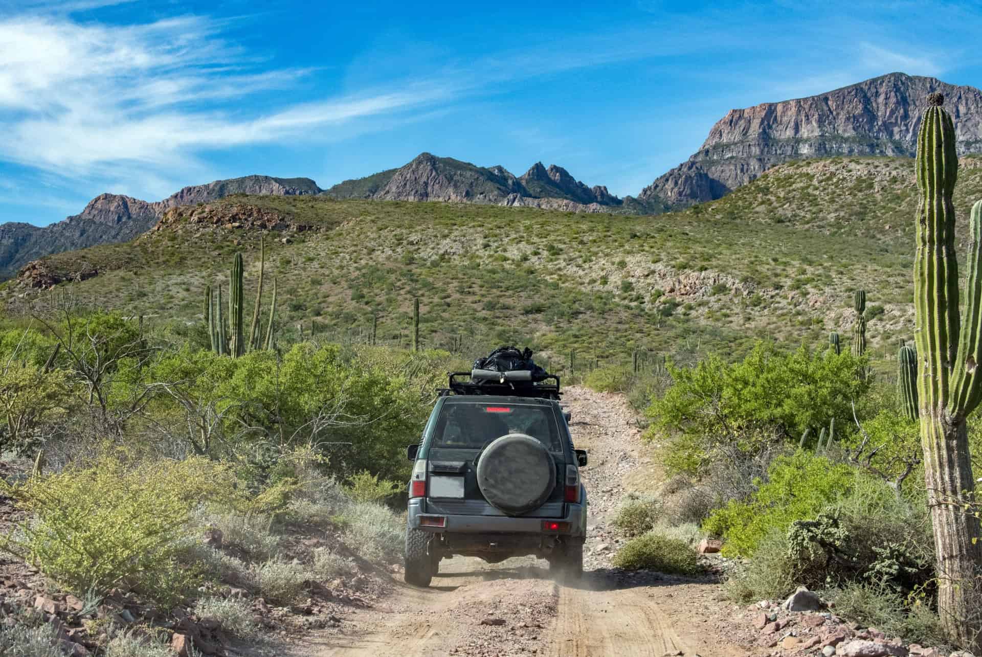 quel type de voiture louer pendant un voyage au mexique 