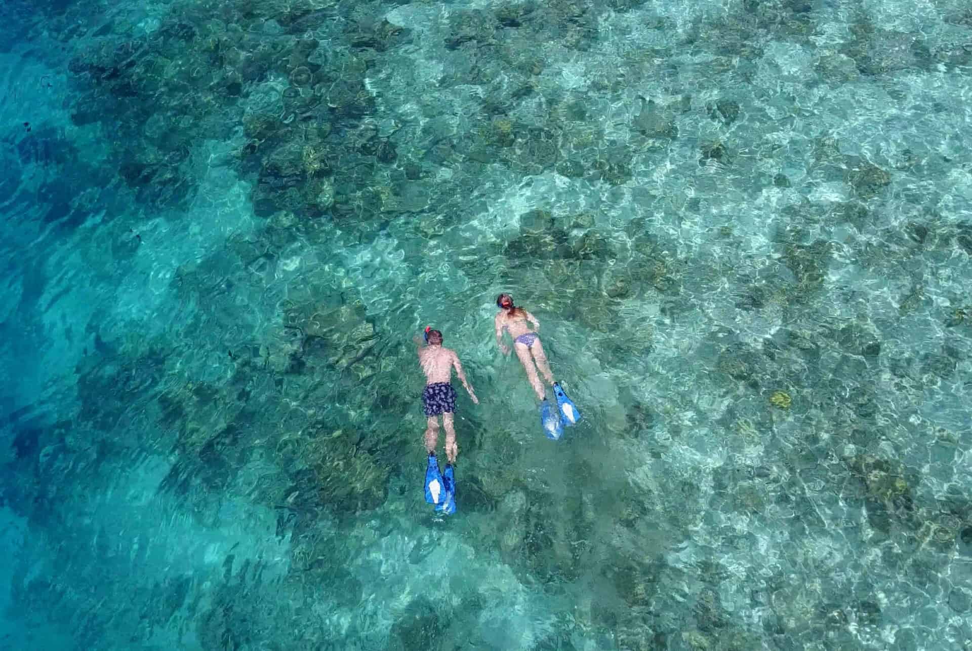 rasdhoo