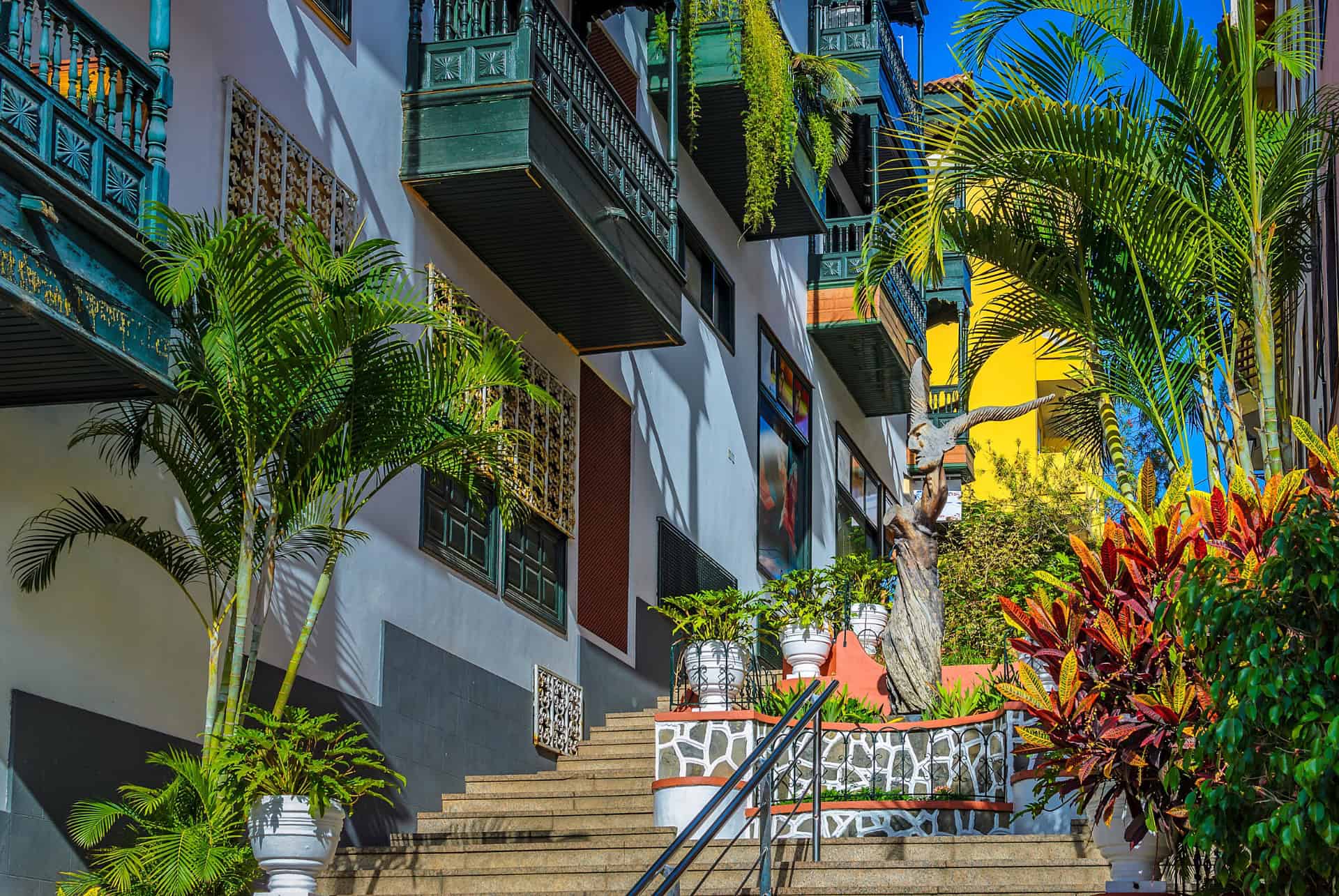 rue coloree a puerto de la cruz