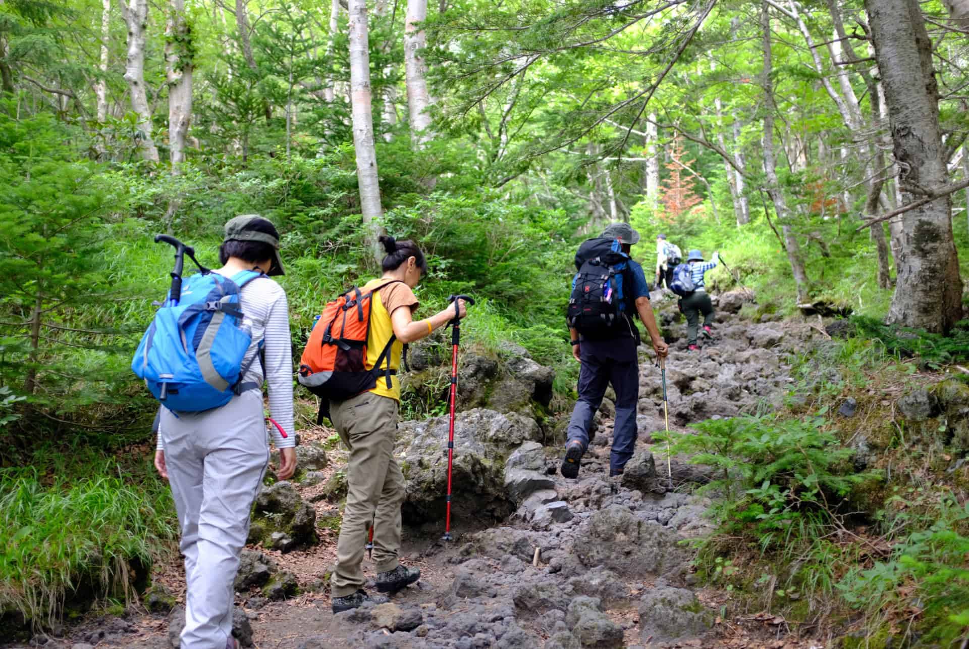 sentier subashiri mont fuji