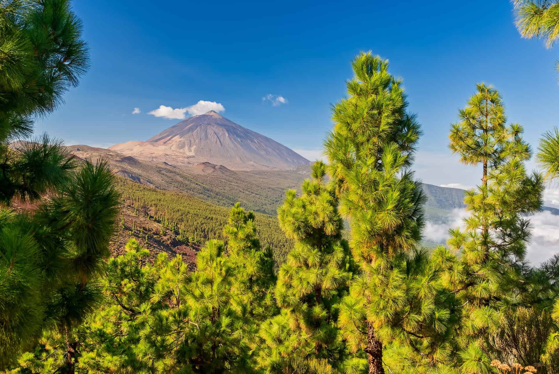 vue sur le volcan teide depuis le mirador de la crucita