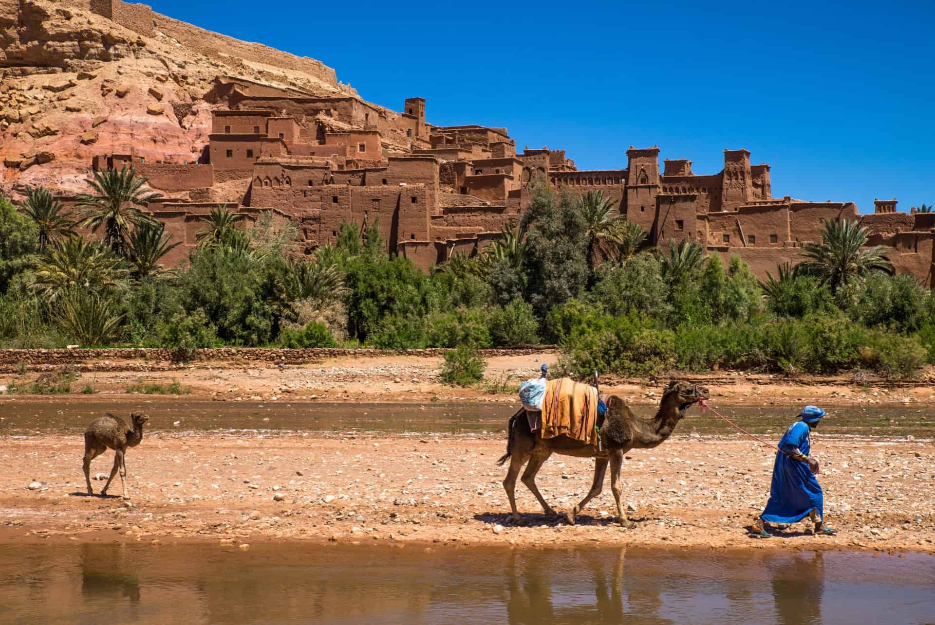 berbere maroc
