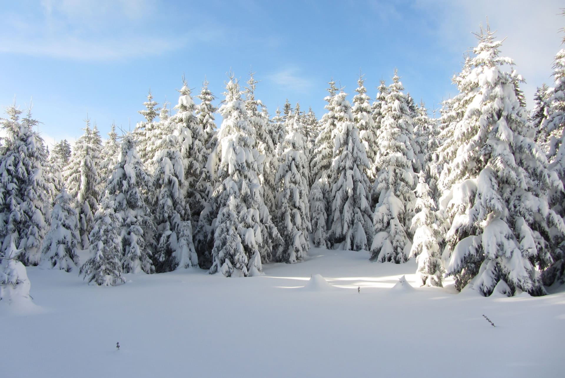 jura en fevrier