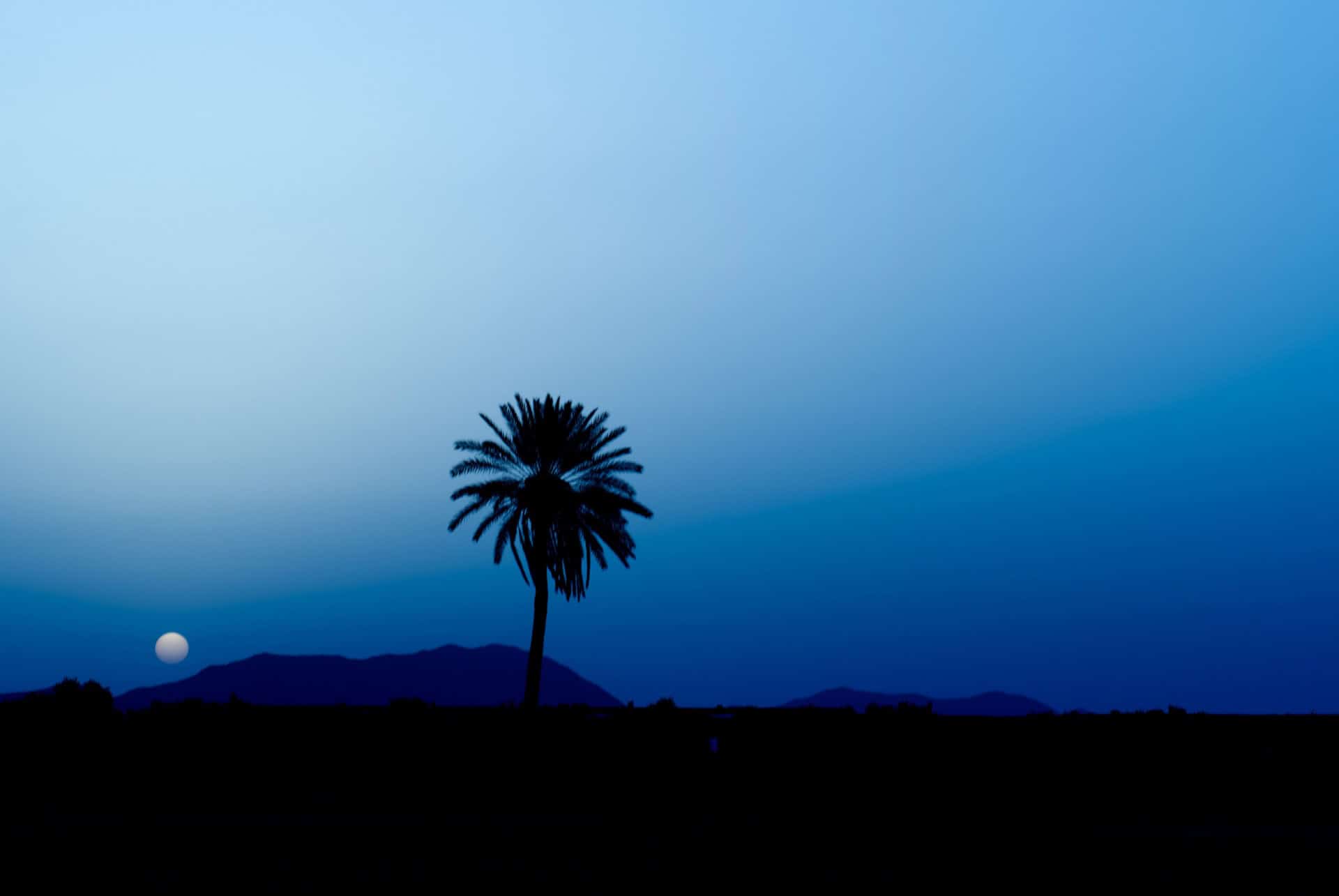 nuit dans le desert