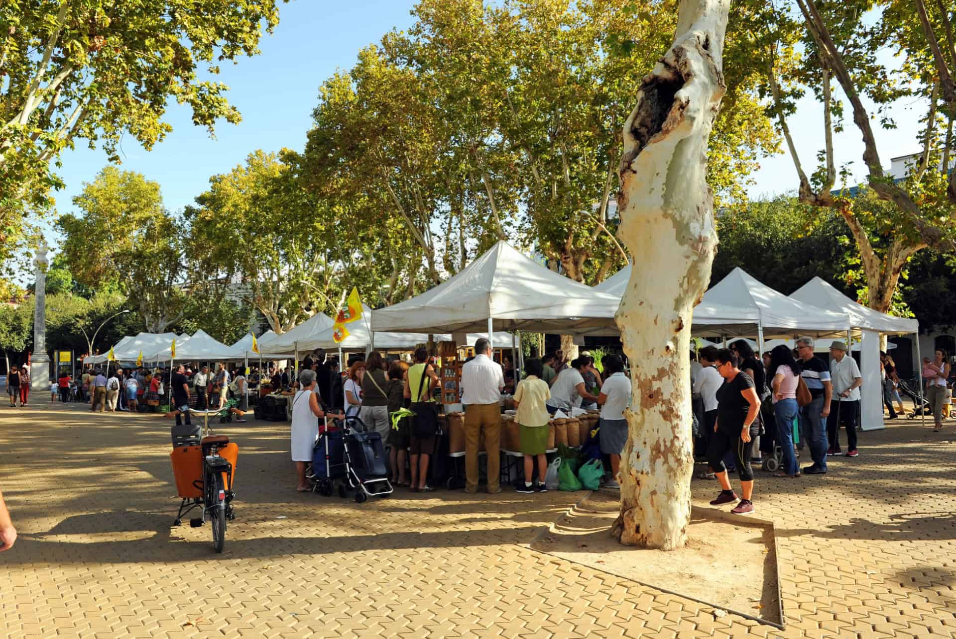 quartier alameda