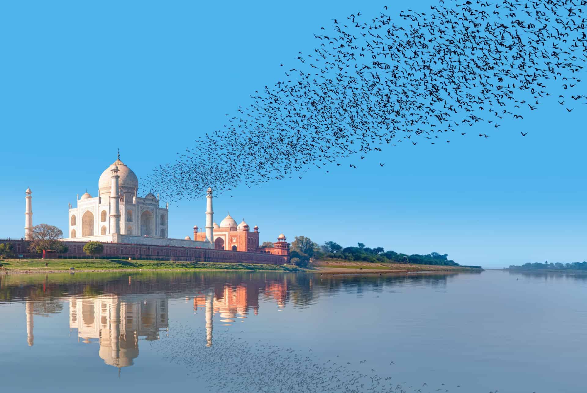 riviere yamuna