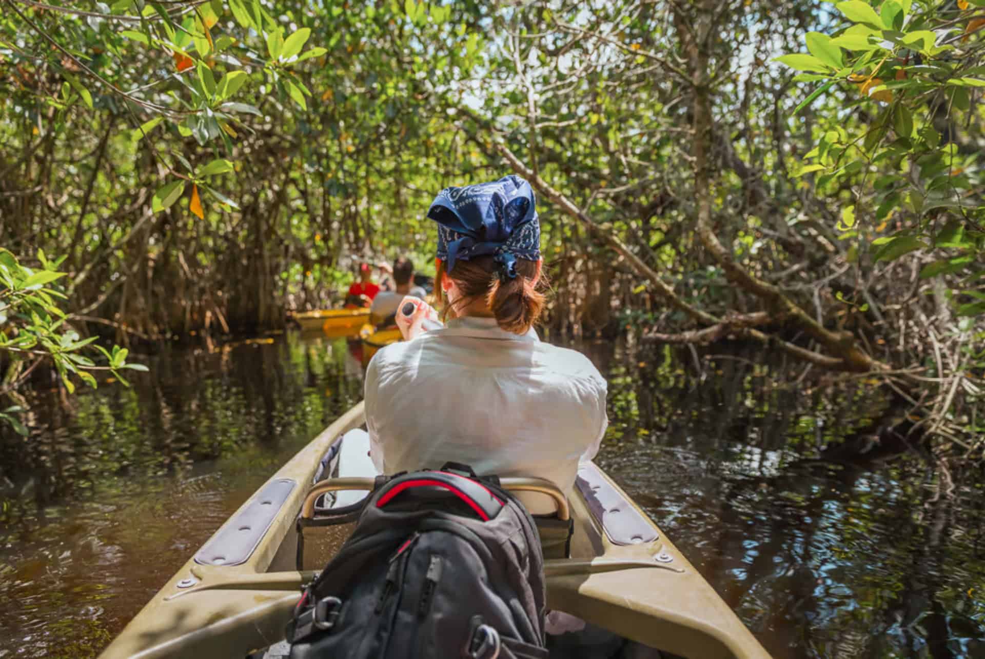 visiter les everglades en canoe kayak