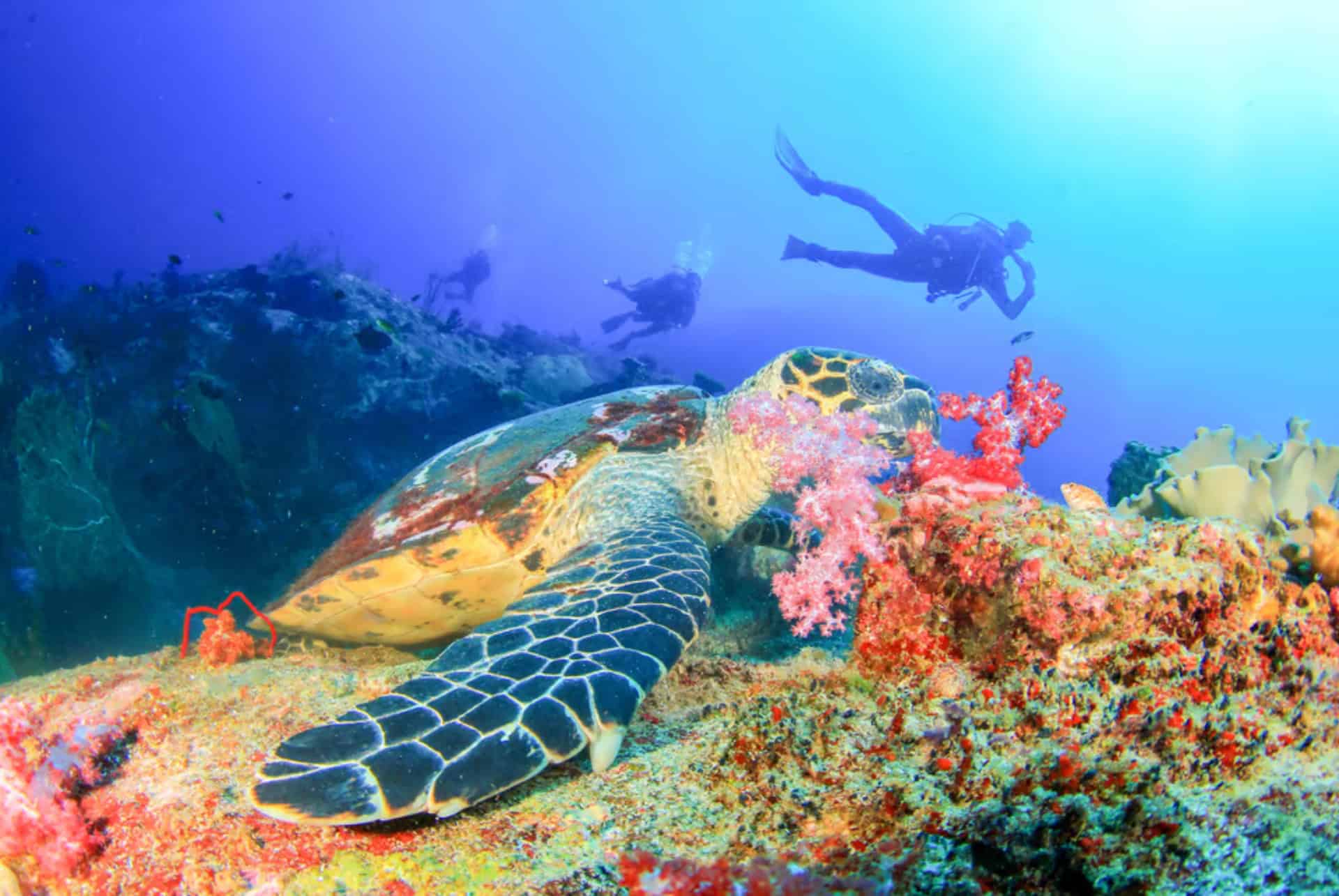 baie de tulamben a bali