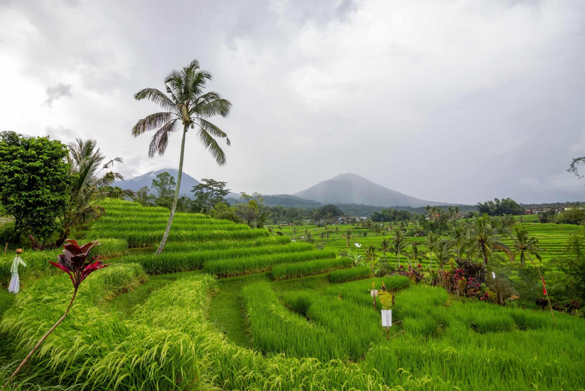 bali en mars saison des pluies