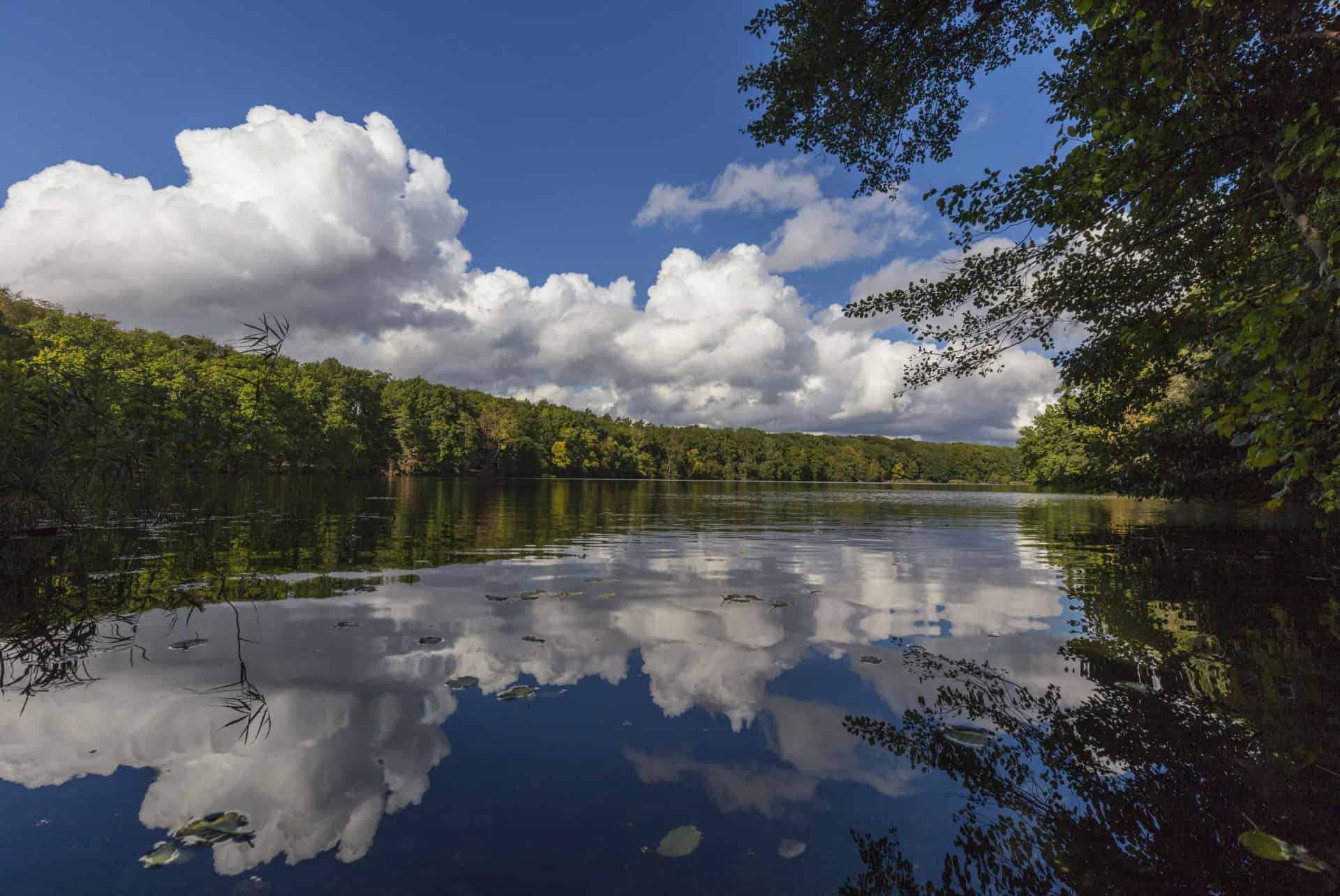 berges du schlachtensee