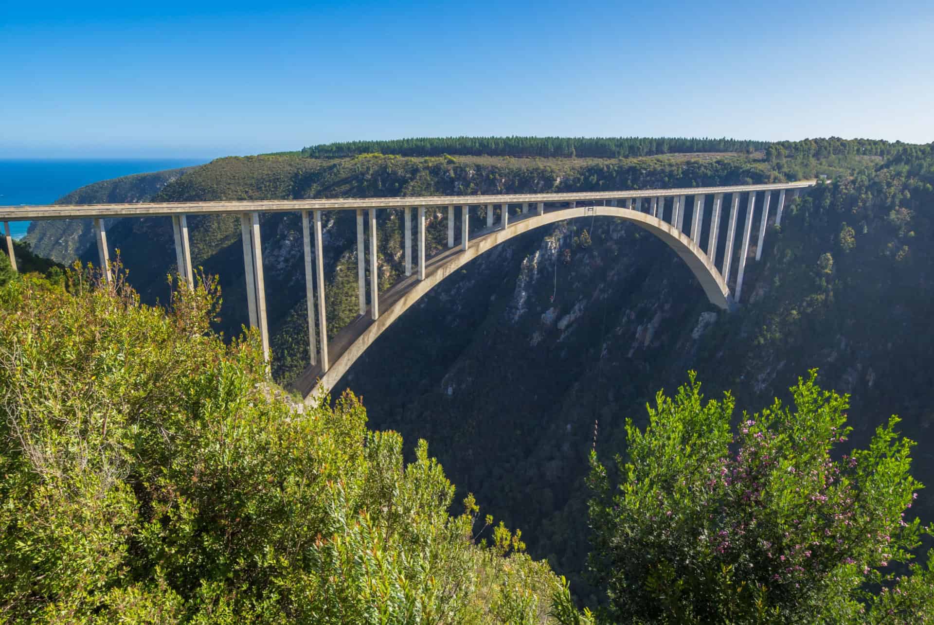 bloukrans Bridge afrique du sud