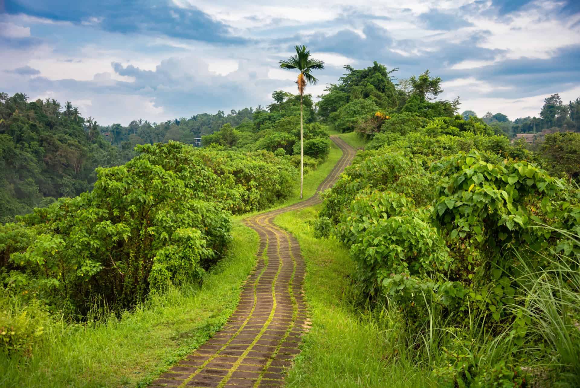 campuhan ridge walk