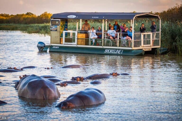 Croisière pour observer les hippopotames et les crocodiles