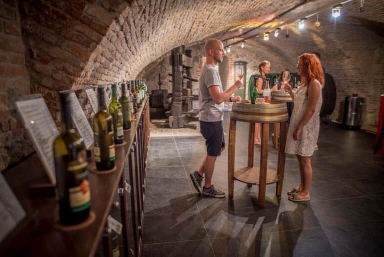 Dégustation de vins à Bratislava