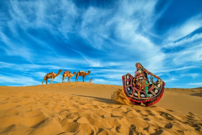 Mini-safari dans le désert du Thar