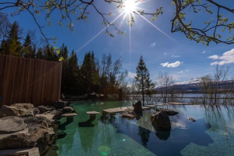 Visite de la cascade de Godafoss et du Forest Lagoon