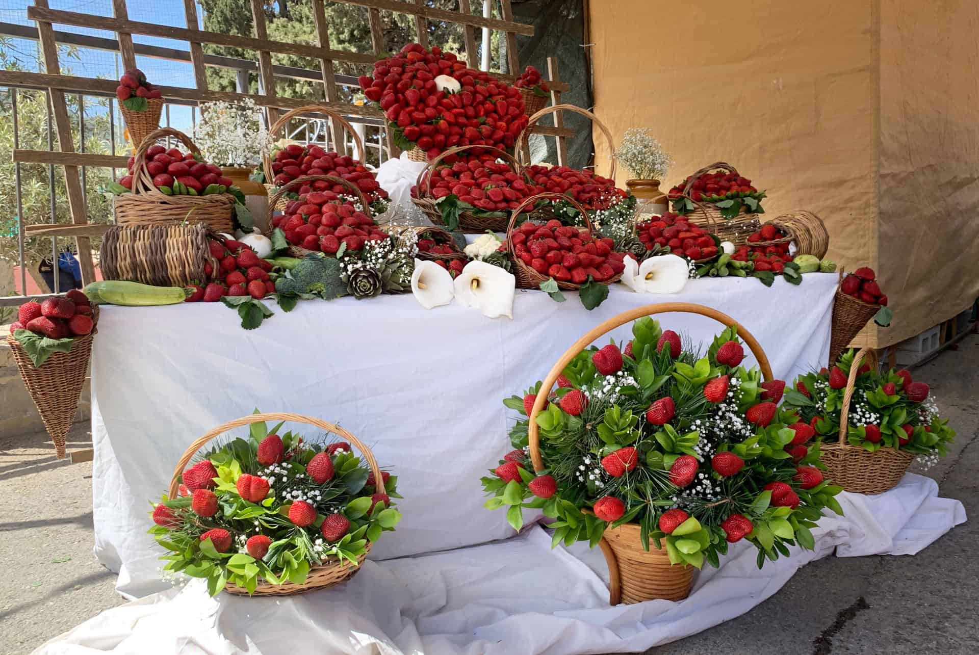 festa frawli malte