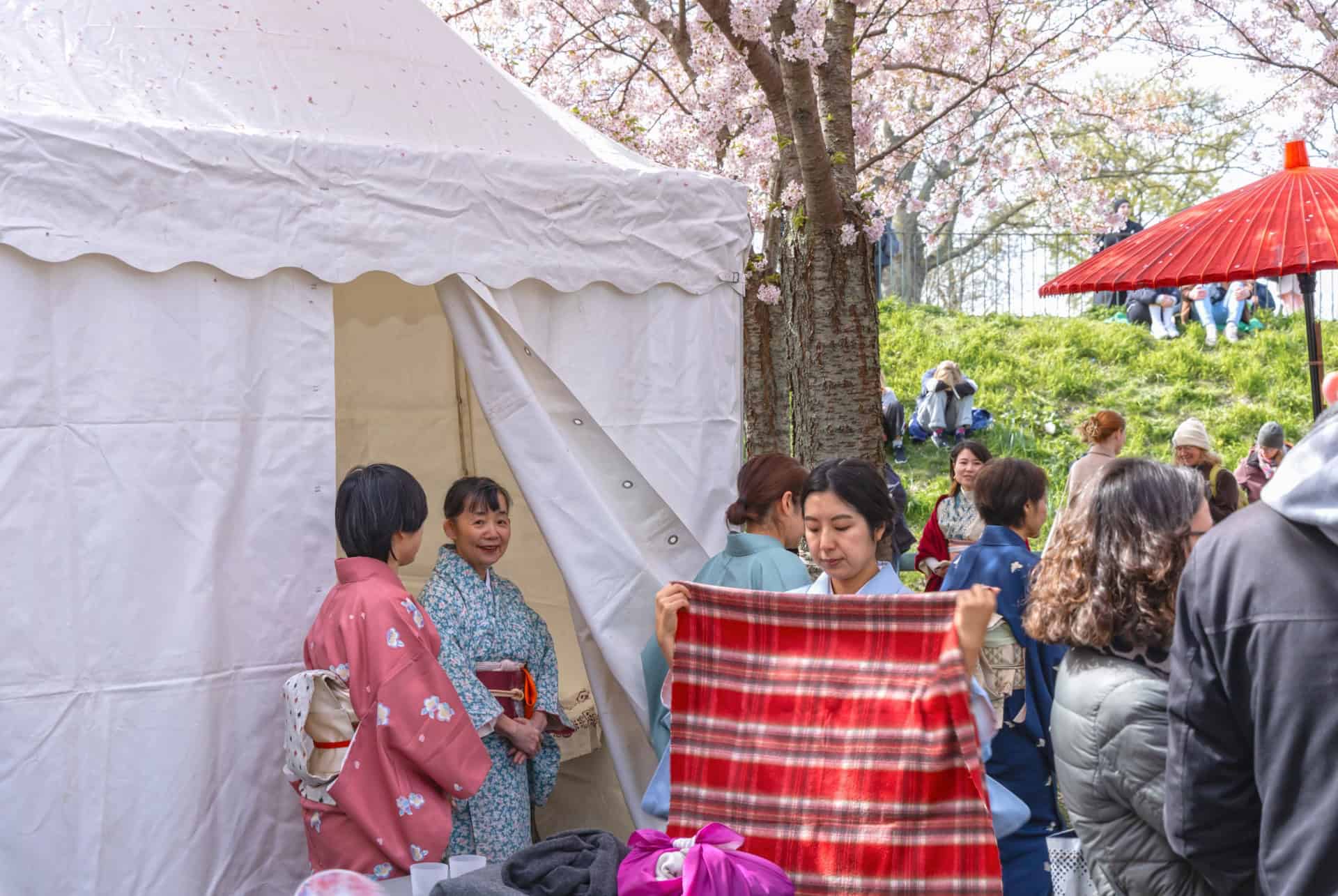 festival sakura copenhague en avril